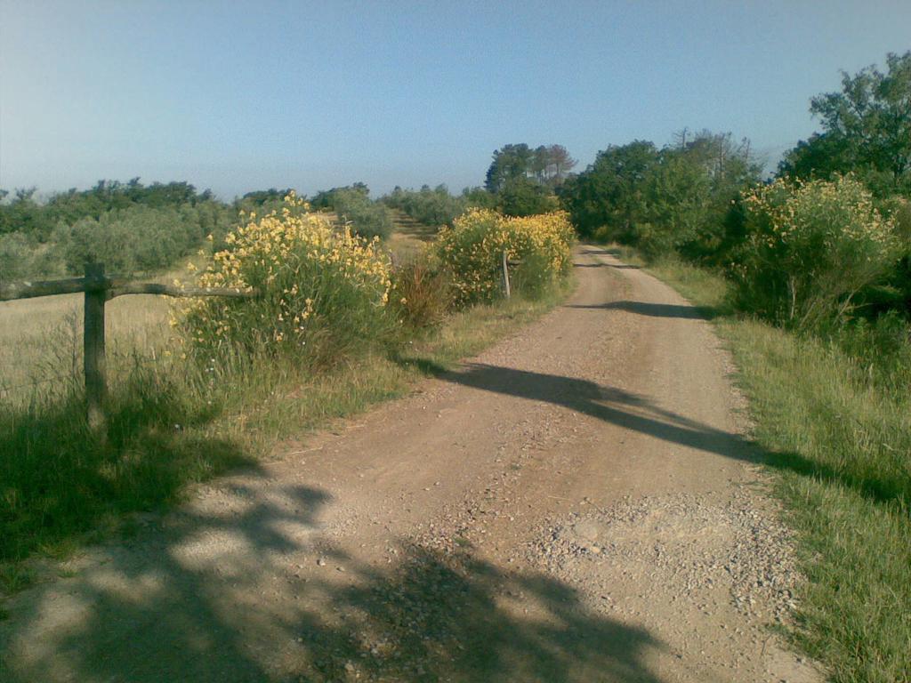 Podere Campovecchio Rapale Экстерьер фото