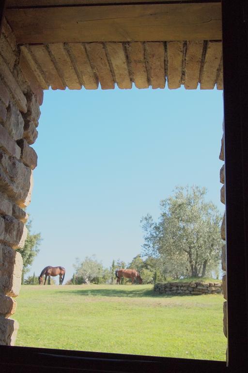 Podere Campovecchio Rapale Номер фото